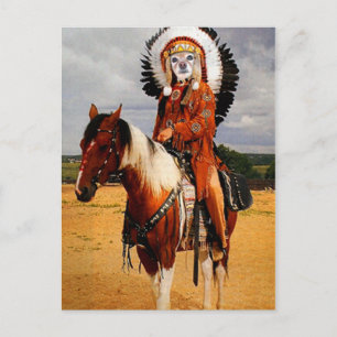 Fox Is An Indian Chief Postcard