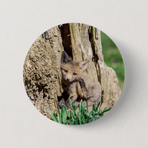 Fox Kit in the Hudson Valley 6 Cm Round Badge
