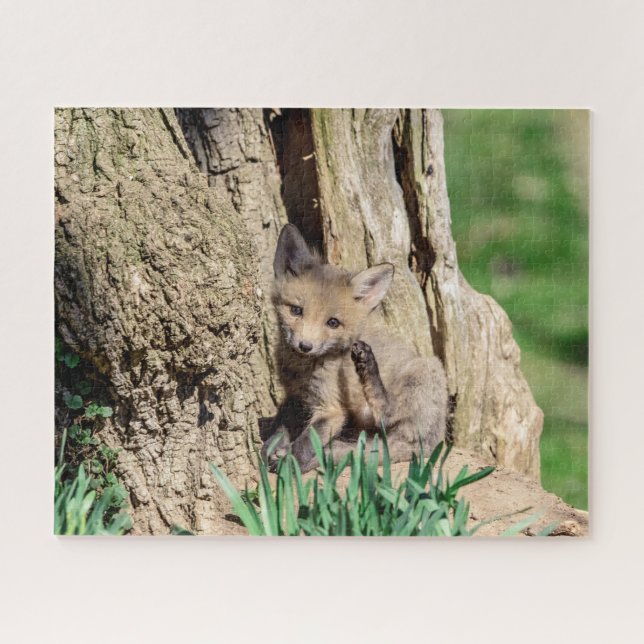 Fox Kit in the Hudson Valley Jigsaw Puzzle (Horizontal)