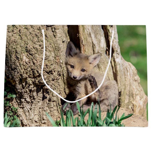 Fox Kit in the Hudson Valley Large Gift Bag (Front)