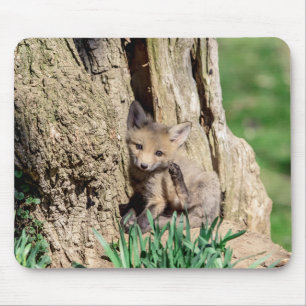 Fox Kit in the Hudson Valley Mouse Pad