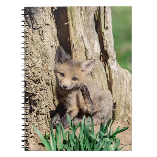 Fox Kit in the Hudson Valley Notebook (Front)