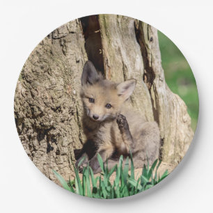 Fox Kit in the Hudson Valley Paper Plate