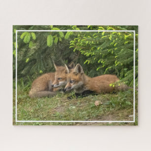  Fox Kit Pals  Jigsaw Puzzle