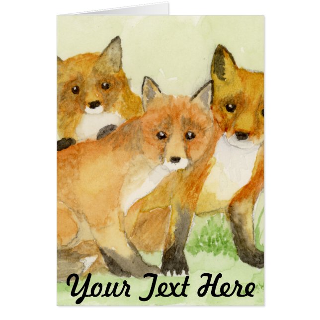 Fox Kits (Front)