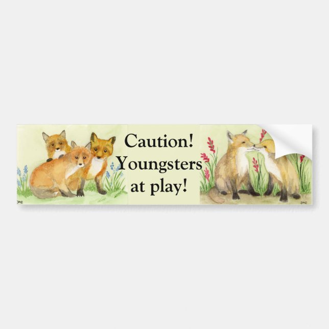 Fox Kits Bumper Sticker (Front)