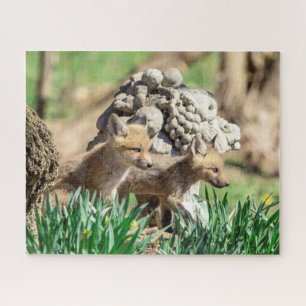 Fox Kits in the Hudson Valley Jigsaw Puzzle