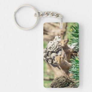 Fox Kits in the Hudson Valley Key Ring