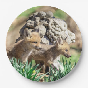 Fox Kits in the Hudson Valley Paper Plate