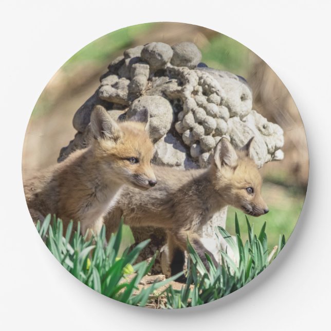 Fox Kits in the Hudson Valley Paper Plate (Front)