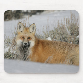 Fox Mouse Pad