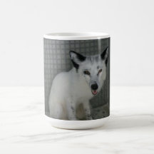 Fox Mug - Ambassador Sophia