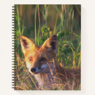 Fox Notebook