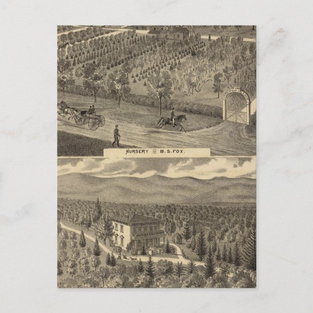 Fox nursery, res, orchard postcard (Front)