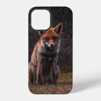 FOX ON GRASS FIELD