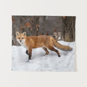 Fox On Snow Tapestry