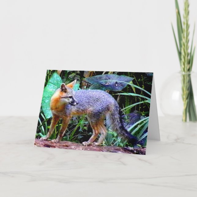 FOX ON TREE CARD (Front)