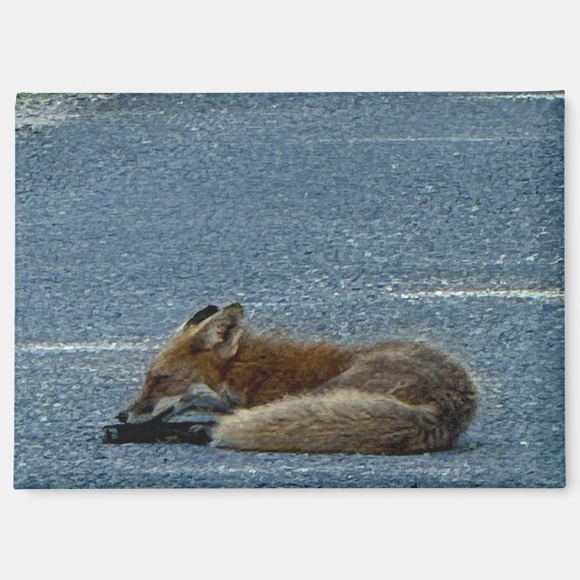 Fox Photo Magnet  (Front)