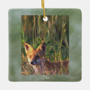 Fox Photo Ornament