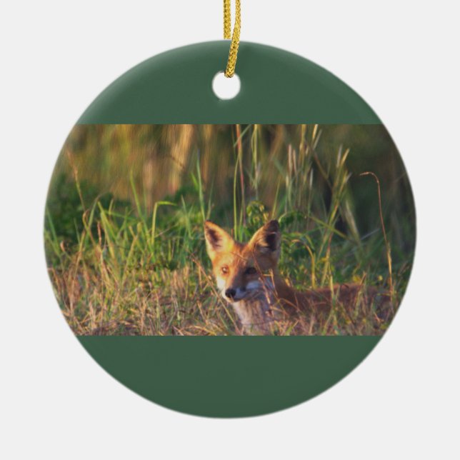 Fox Photo Ornament  (Front)