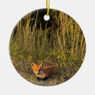 Fox Photo Ornament 
