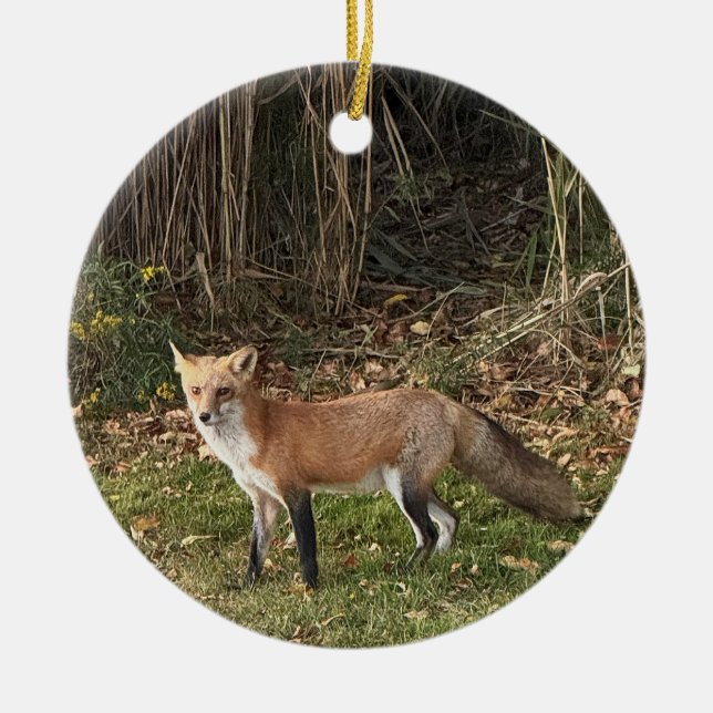 Fox Photo Ornament  (Front)