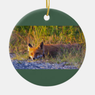Fox Photo Ornament 