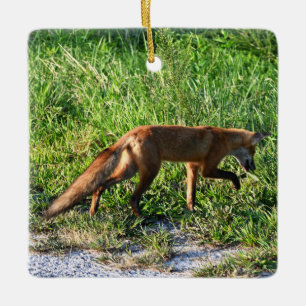 Fox Photo Ornament 