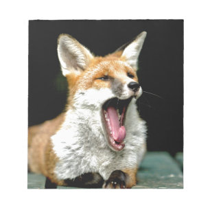 Fox - pro photo notepad