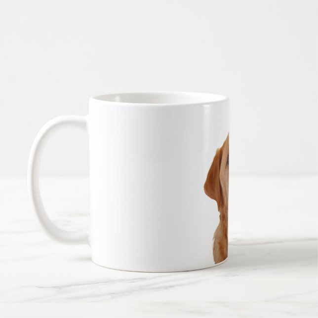 Fox red Labrador Cup  (Left)