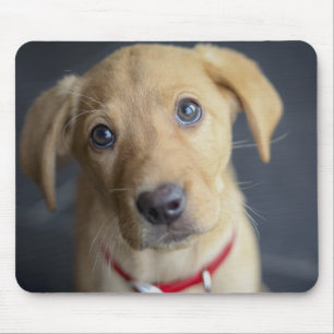 Fox Red Labrador Puppy Mouse Pad