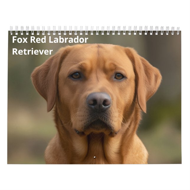 Fox Red Labrador Retriever 2027 Wall Calendar (Cover)