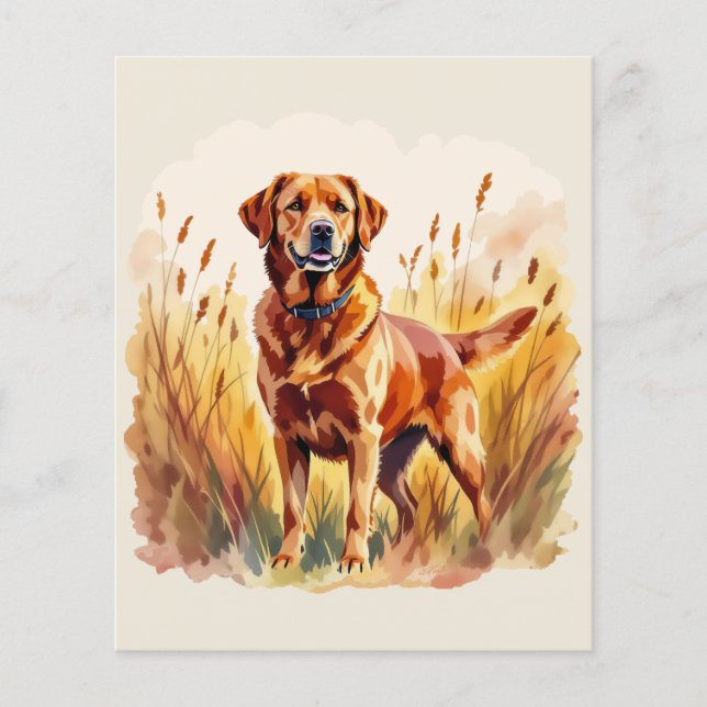 Fox Red Labrador Retriever Dog (Front)