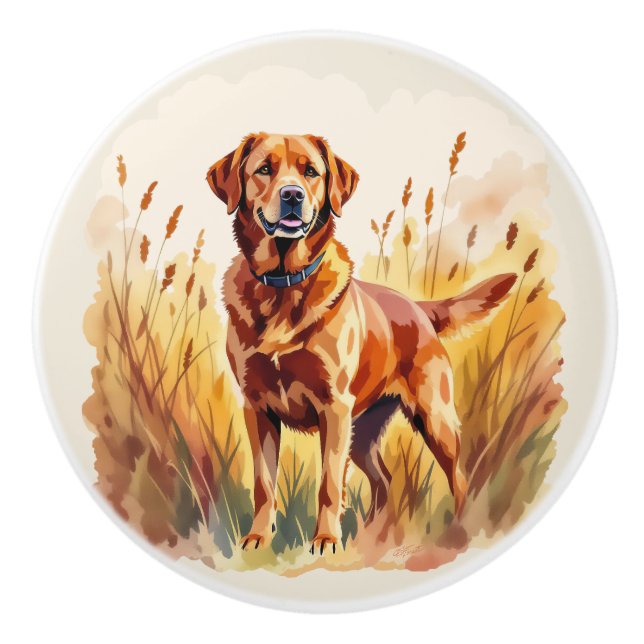 Fox Red Labrador Retriever Dog Ceramic Knob (Front)