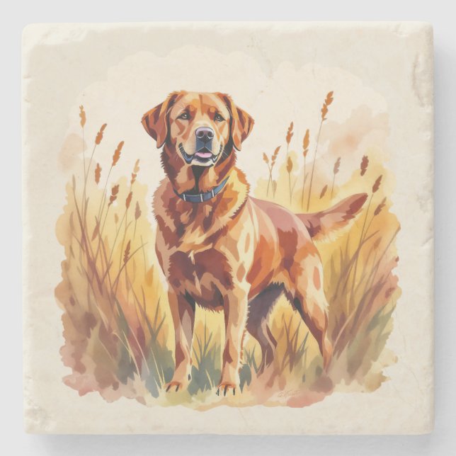 Fox Red Labrador Retriever Dog Stone Coaster (Front)