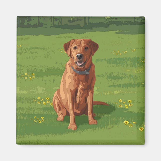 Fox Red Yellow Labrador Retriever Dog Magnet (Front)