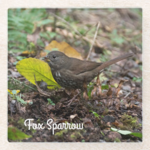 Fox Sparrow Glass Coaster