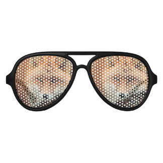 Fox Species Aviator Sunglasses