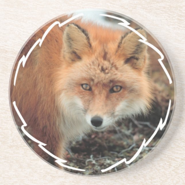 Fox Species Coaster (Front)