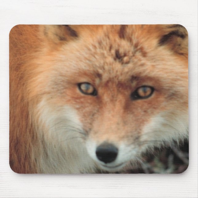 Fox Species Mouse Pad (Front)