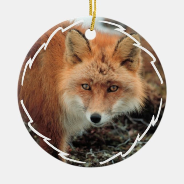 Fox Species Ornament (Front)