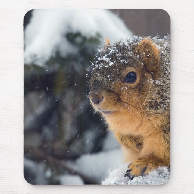 Fox Squirrel in Winter Mouse Pad (Front)