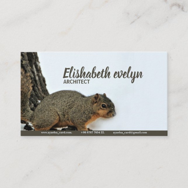 Fox Squirrel On Snowy Tree Business Card (Front)