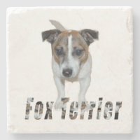 Fox Terrier And Fox Terrier Logo,