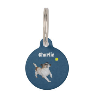 Fox Terrier Ball Trance,  Pet Tag