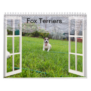 Fox Terrier Come Play, Calendar