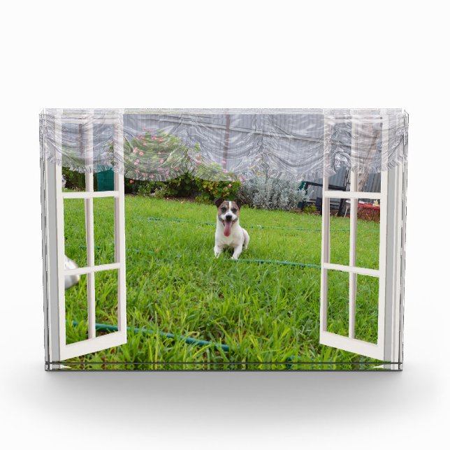 Fox Terrier Come Play, Photo Block (Front)