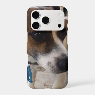 Fox Terrier Dog Attraction,