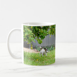 Fox Terrier, Funny Scare Face, White Coffee Mug