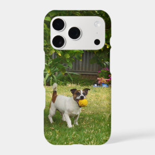 Fox Terrier Happy Days,
